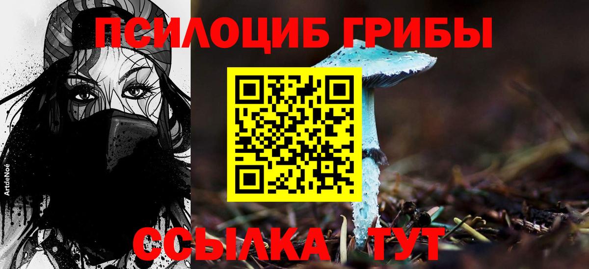 Галлюциногенные грибы MAGIC MUSHROOMS Нижнекамск
